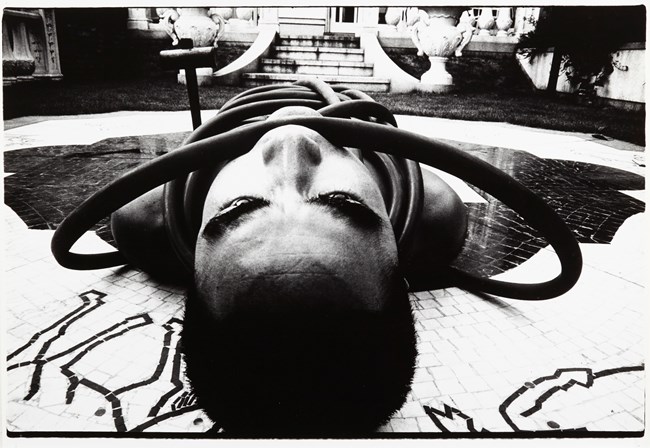 Ordeal by Roses by Eikoh Hosoe contemporary artwork