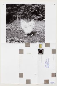 Untitled (white chicken) by Moyra Davey contemporary artwork mixed media
