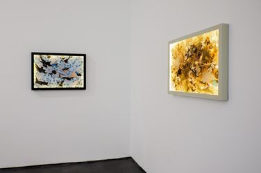 Exhibition view: Group exhibition, State of Flux, Silverlens, New York (12 January–4 March 2023). Courtesy Silverlens. 