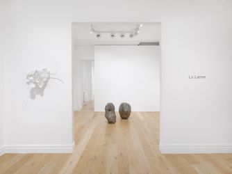 Exhibition view: Liz Larner, Galerie Max Hetzler, London (11 November 2021–15 January 2022). © Liz Larner. Courtesy of the artist and Galerie Max Hetzler, Berlin | Paris | London. Photo: Jack Hems