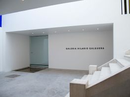 Galeria Hilario Galguera