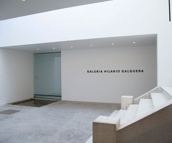 Galeria Hilario Galguera contemporary art gallery in Mexico City, Mexico