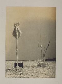 Model for an Irrational Landscape by Raoul Ubac contemporary artwork print