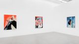 Contemporary art exhibition, Amanda Wall, Butterflies at Almine Rech, Brussels, Belgium