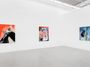 Contemporary art exhibition, Amanda Wall, Butterflies at Almine Rech, Brussels, Belgium