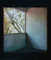 Windows by Simryn Gill contemporary artwork photography