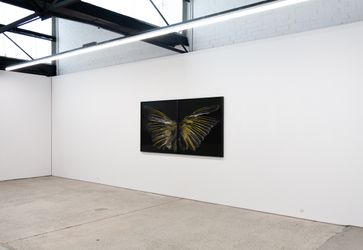 Fiona Pardington Wairua o te hau, 2022 (installation view)Courtesy of the artist and 1301SW, Melbourne