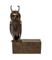 Small Long-eared Owl by Daniel Daviau contemporary artwork 2