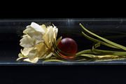 revolution & gravity (artificial flower & glass ball) by Yukio Fujimoto contemporary artwork 2