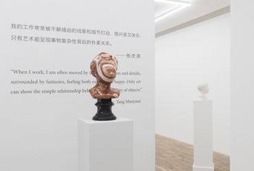 Exhibition view: Yang Maoyuan, Backup Copies of Memory, HdM GALLERY, Beijing (5 September–10 October 2020). Courtesy HdM GALLERY.