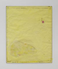 Endnote, yellow (limb) by Ian Kiaer contemporary artwork painting, works on paper, sculpture, drawing