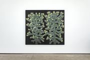 portrait of two monkey puzzle trees (with spring growth) by Andrew Sim contemporary artwork 1