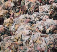 Wool by Shi Guowei contemporary artwork painting