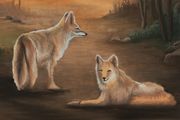 Coyote Moon by Neil Raitt contemporary artwork 3