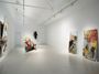 Contemporary art exhibition, Peter Buggenhout, A Dog With Eyes for the Blind at Galeria Hilario Galguera, Madrid, Spain