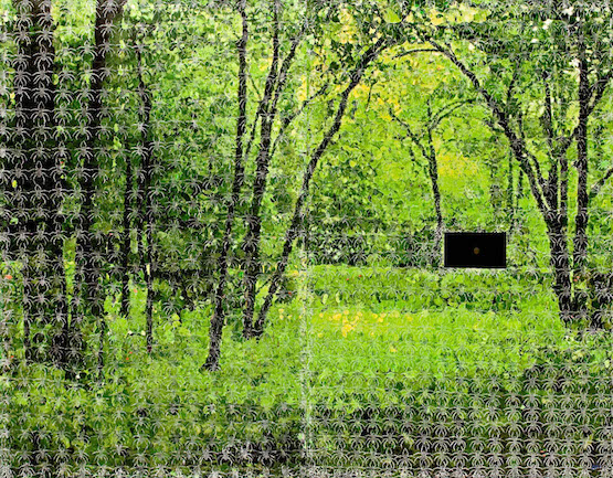 Azade Köker,Exploded Still-Life, 2010, Mixed technique, video installation, 270 x 348 cm, Acquisition Date: 2010. Image