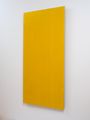 Digit Painting - mid green over yellow by Noel Ivanoff contemporary artwork 2