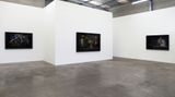 Contemporary art exhibition, Heather Straka, Dissected Parlour at Jonathan Smart Gallery, Christchurch, New Zealand
