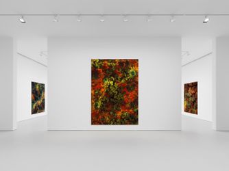 Exhibition view: Thomas Ruff,  d.o.pe, David Zwirner, 19th Street, New York (15 September–22 October 2022). Courtesy David Zwirner.
