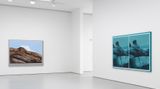 Contemporary art exhibition, Llyn Foulkes, Solo Exhibition at David Zwirner, New York: 19th Street, United States