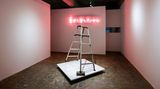 Contemporary art exhibition, David Shrigley, Jiro Takamatsu, Brick, Stepladder, and Neon at Yumiko Chiba Associates, Tokyo, Japan