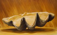 Giant Clam Shell Half 1 by Christopher Bassi contemporary artwork painting