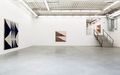 Brent Wadden, The Decline, 2014, Exhibition view at Almine Rech Gallery, Brussels. Courtesy the Artist and Almine Rech Gallery. © Brent Wadden.