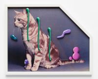 Sea and Pus (Photograph of Cat) #12 by Teppei Kaneuji contemporary artwork painting, works on paper, mixed media