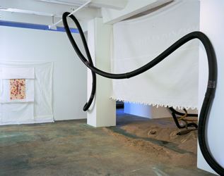 Exhibition view: Senga Nengudi, Asp-Rx, Thomas Erben Gallery, New York (20 October–10 December 2005). Courtesy Thomas Erben Gallery.