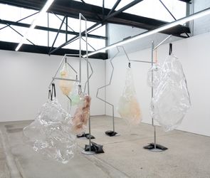 Mikala DwyerA Forest, 2022Painted steel, plastic, carabiners, rubber, acrylic, steel hooks, shot-bagsDimensions variableCourtesy of the artist and 1301SW, Melbourne