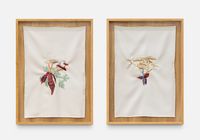 A quimera das plantas [Os cogumelos e a o coração da bananeira] by Brígida Baltar contemporary artwork sculpture, textile