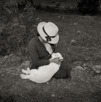 Catalin Valentine ́s Lamb, Ancash, Peru by Rosalind Fox Solomon contemporary artwork photography, print