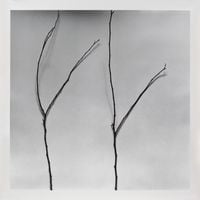 Whispers of Trees-Cercis by Chu Chu contemporary artwork painting, works on paper, drawing
