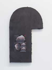 Black Hammer Peony Testsheet Colour by Martyn Reynolds contemporary artwork sculpture