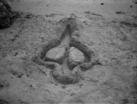 Untitled by Ana Mendieta contemporary artwork moving image
