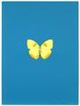 It's a Beautiful Day by Damien Hirst contemporary artwork 3
