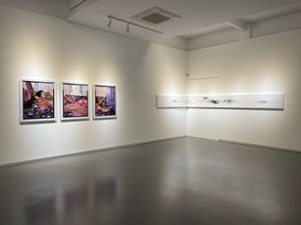 Exhibition view: Group Exhibition, Spring Group Show, Sundaram Tagore Gallery, Singapore (8 April–28 May 2022). Courtesy Sundaram Tagore Gallery.