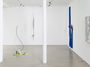 Contemporary art exhibition, David Douard, 0'LULABY at Galerie Chantal Crousel, Paris, France