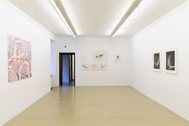 Exhibition view: Group Exhibition, Sensory Tales, Krinzinger Schottenfeld, Vienna (13 September–29 October 2022). Courtesy Galerie Krinzinger.