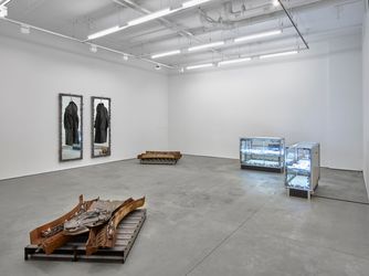 Exhibition view: Elaine Cameron-Weir, A WAY OF LIFE, Lisson Gallery, New York (7 March–13 April 2024). © Elaine Cameron-Weir. Courtesy Lisson Gallery.