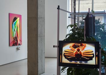 Exhibition view: James Clar, The World Never Ends, Jane Lombard Gallery, New York (6 September–20 October 2018). Courtesy Jane Lombard Gallery.
