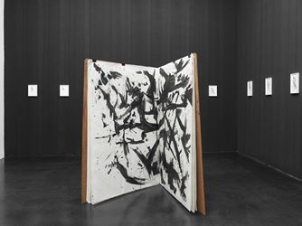 Exhibition view: Lutz Bacher, Open the Kimono, Galerie Buchholz, Cologne (7 September–20 October 2018). Courtesy Galerie Buchholz.