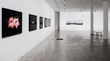 Contemporary art exhibition, Greta Anderson | Joyce Campbell | Conor Clarke, The Close at Two Rooms, Auckland, New Zealand