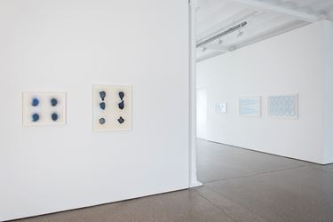 Exhibition view: Michael Venezia, Spray, Galerie Greta Meert, Brussels (28 November 2015–6 February 2016). Courtesy Galerie Greta Meert.