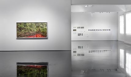 Exhibition view: Rosemary Laing, Buddens, Tolarno Galleries, Melbourne (22 March–28 April 2018). Courtesy Tolarno Galleries. Photo: Andrew Curtis. 