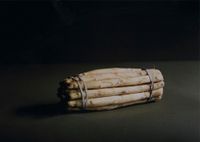 A Bunch of Asparagus by Olivier Richon contemporary artwork photography