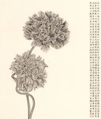 Gorgeous Epiphyllums by Zhang Yirong contemporary artwork works on paper, drawing