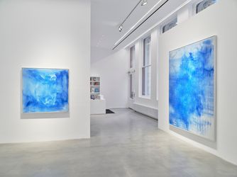 Exhibition view: Oliver Beer, Resonance Paintings – Cat Orchestra, Almine Rech, New York (14 March–27 April 2024). Courtesy Almine Rech.