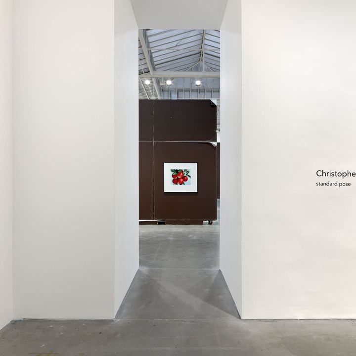 Christopher Williams, 'standard pose' at David Zwirner, Paris