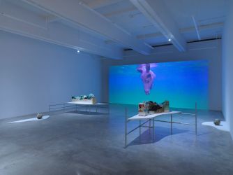 Exhibition view: Minouk Lim, Fossil of High Noon, Tina Kim Gallery, New York (19 May–1 July 2022). Courtesy Tina Kim Gallery. Photo: Dario Lasagni. 
